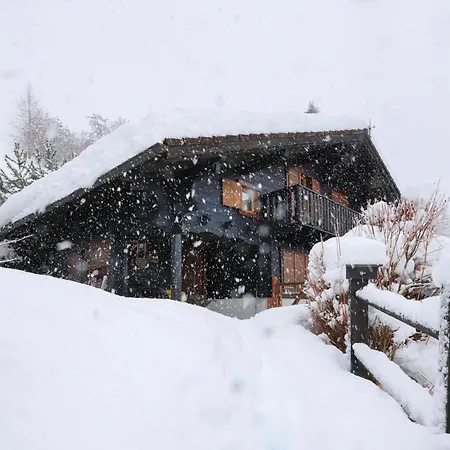Chalet Cheechako By Interhome Nendaz
