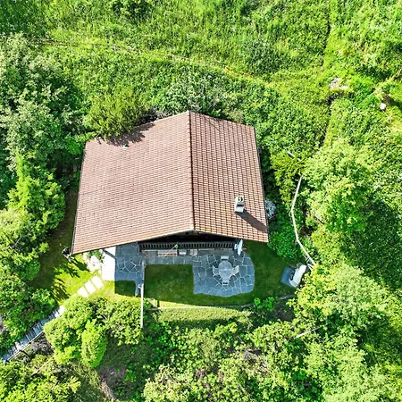 Cheechako By Interhome Chalet Nendaz